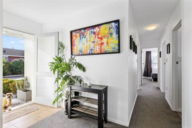 Photo of property in 19 Seafield Place, South New Brighton, Christchurch, 8062