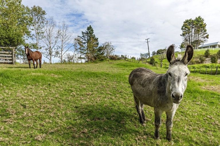 Photo of property in 100 Upper Orewa Road, Wainui, Silverdale, 0992