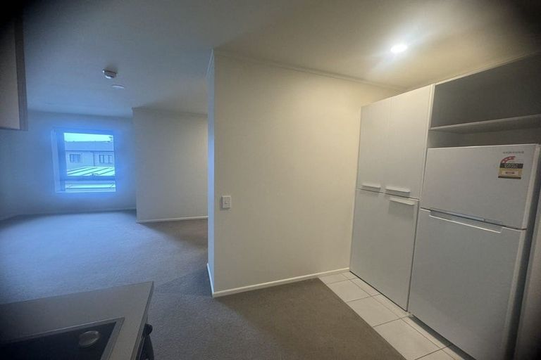 Photo of property in Luna Apartments, 1n/16 Burton Street, Grafton, Auckland, 1010