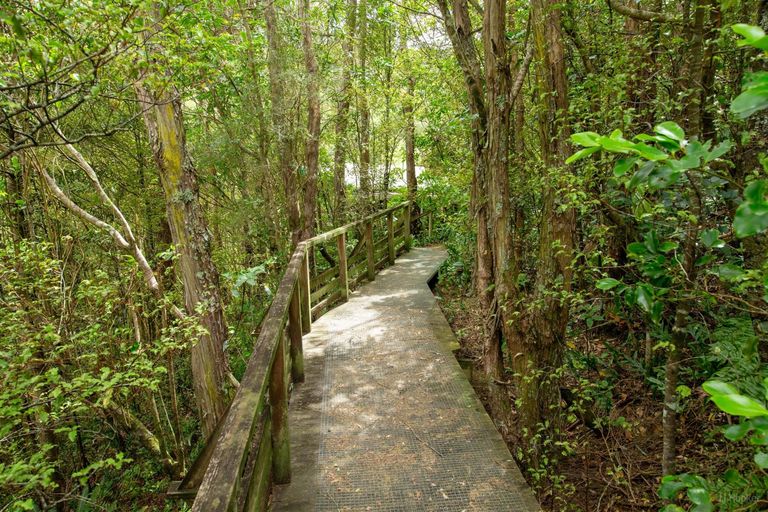 Photo of property in 39 Lookout Road, Peel Forest, Mount Peel, 7992