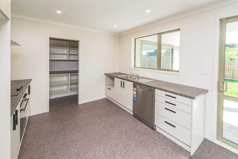 Photo of property in 51 Magnolia Crescent, Tawhero, Whanganui, 4501