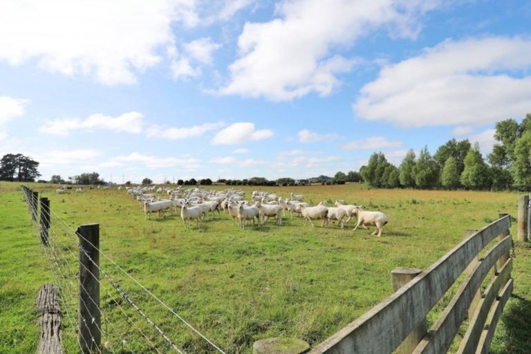 Photo of property in 184 North Makarewa Grove Bush Road, Makarewa, Invercargill, 9876