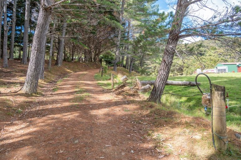 Photo of property in 697 Kohumaru Road, Mangonui, 0494