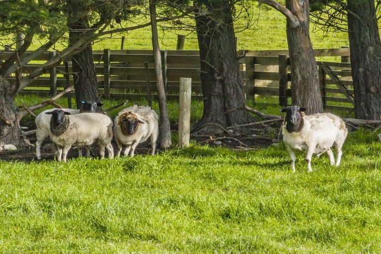 Photo of property in 2/242 Ahuriri Road, Tai Tapu, Christchurch, 7672