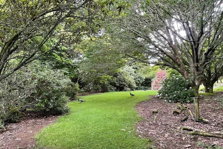 Photo of property in 488 Tapuwae Road, Maniaiti / Benneydale, Te Kuiti, 3987