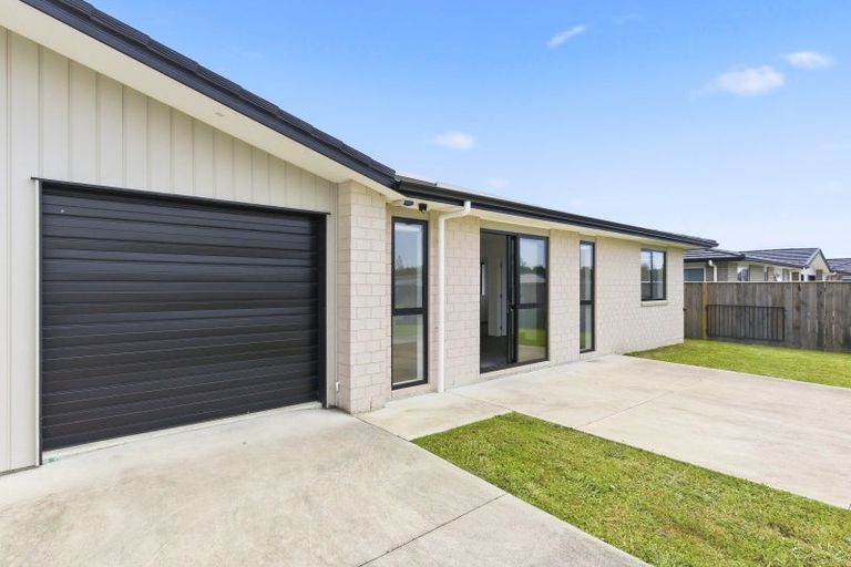 Photo of property in 97 Hinemoa Street, Levin, 5510