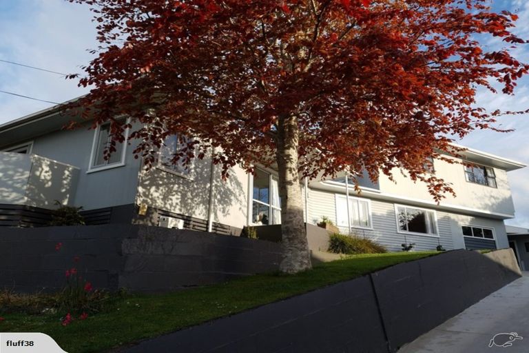 Photo of property in 8 Sardinha Place, Marfell, New Plymouth, 4310