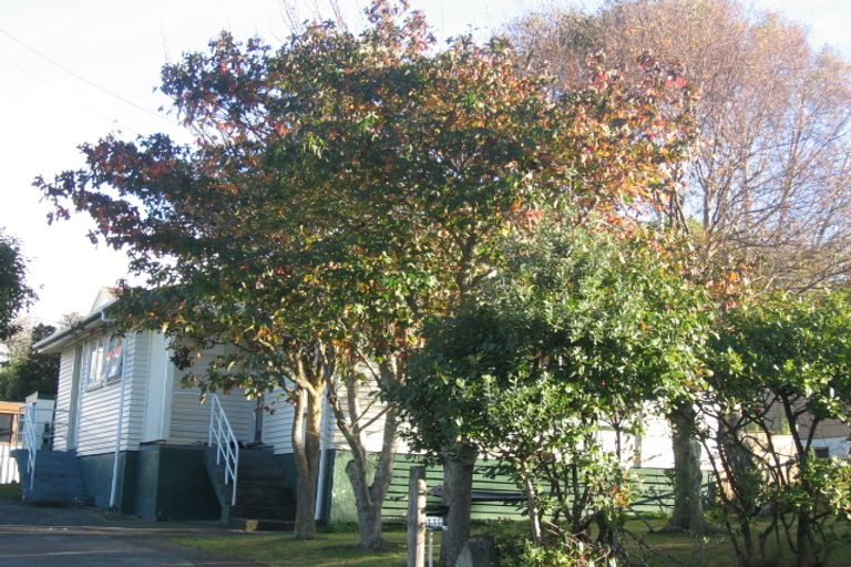 Photo of property in 116 Castor Crescent, Cannons Creek, Porirua, 5024