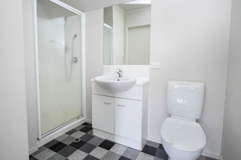 Photo of property in 219b Peachgrove Road, Claudelands, Hamilton, 3214