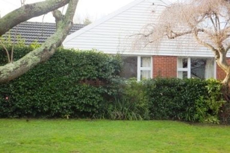 Photo of property in 22 Wilfrid Street, Ilam, Christchurch, 8041