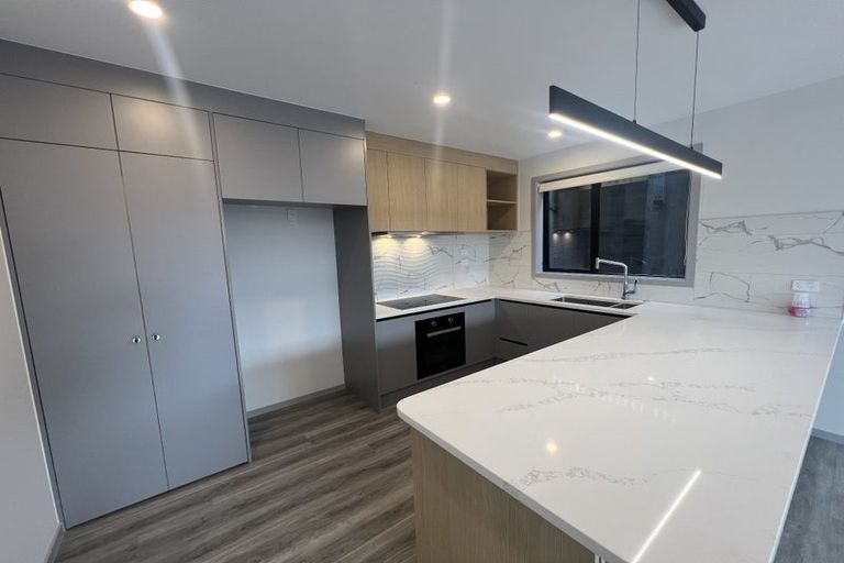 Photo of property in 6 Richard Farrell Avenue, Remuera, Auckland, 1050