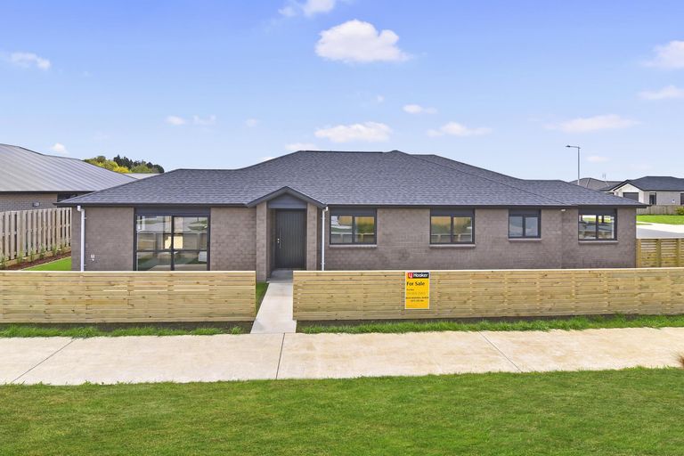 Photo of property in 24 Tawhiti Road, Pukekohe, 2120