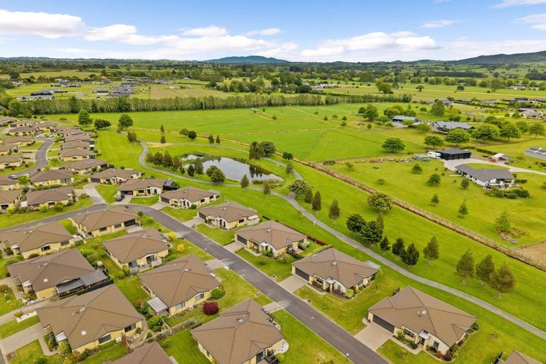 Photo of property in Parkside Villas, 58/11 Manuka Street, Matamata, 3400