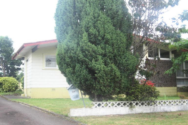 Photo of property in 36 Clydesburn Avenue, Te Puke, 3119