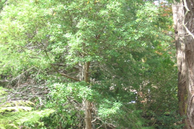 Photo of property in 14 Daffodil Street, Titirangi, Auckland, 0604