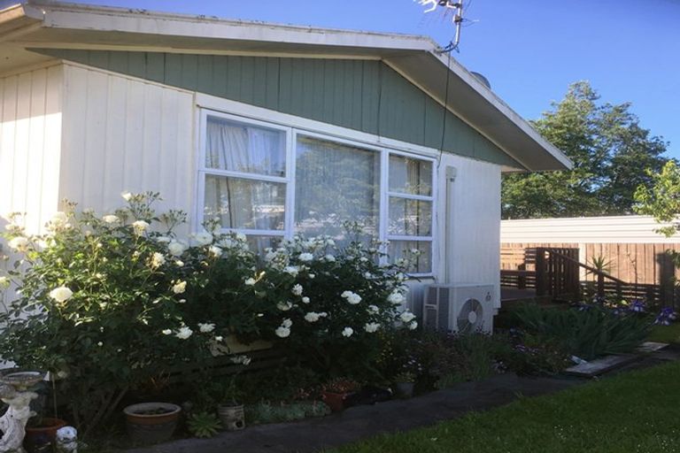 Photo of property in 20 Kirton Street, Masterton, 5810