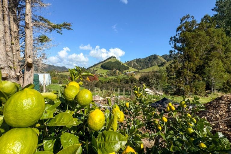 Photo of property in 11 Mangotahi Road, Thames, 3577