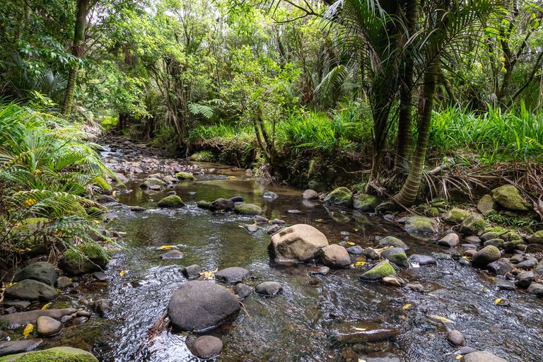 Photo of property in 3 Opanuku Road, Henderson Valley, Auckland, 0612
