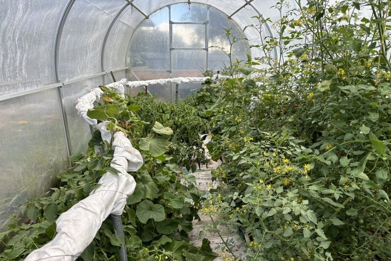 Photo of property in 24 Thousand Acre Road, Alma, Oamaru, 9492