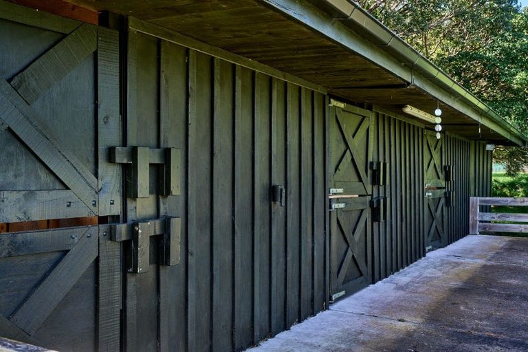 Photo of property in 3 Hadfield Road, Peka Peka, Waikanae, 5391