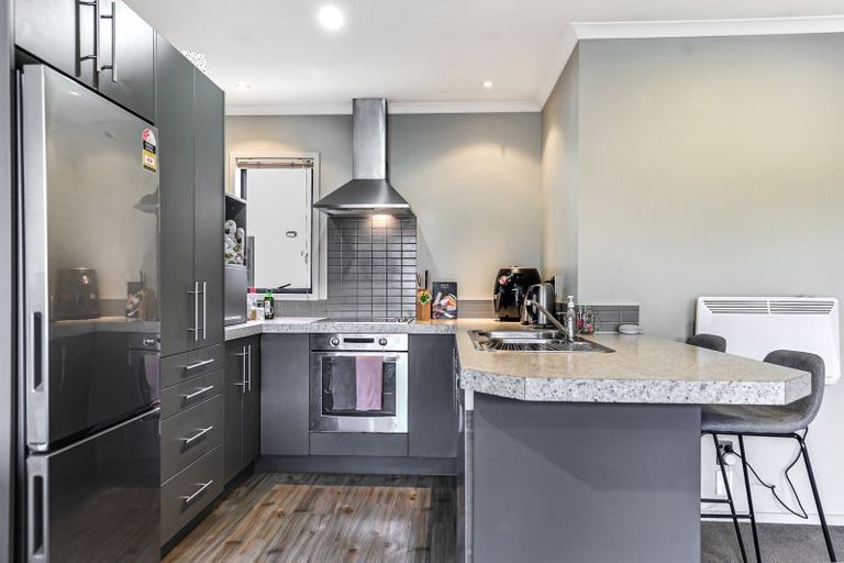 Photo of property in 56e Willoughby Street, Whitiora, Hamilton, 3200