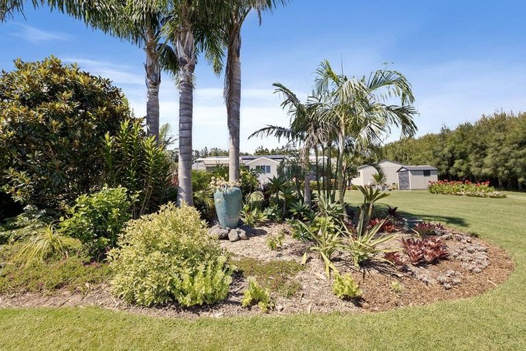 Photo of property in 74 Avocado Lane, Mangawhai, Wellsford, 0975