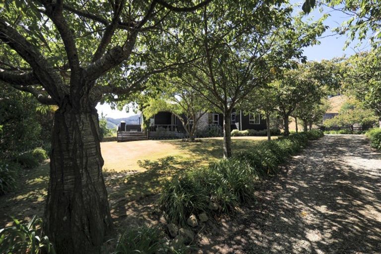 Photo of property in 196 Tinui Valley Road, Tinui Valley, Tinui, 5894