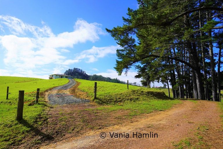 Photo of property in 533 Pataua South Road, Pataua South, Onerahi, 0192