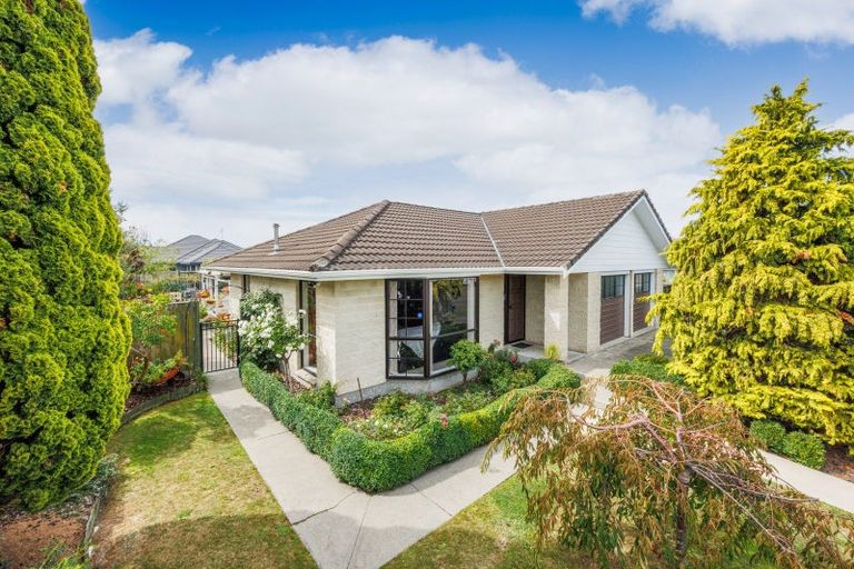 Photo of property in 155 Milson Line, Milson, Palmerston North, 4414