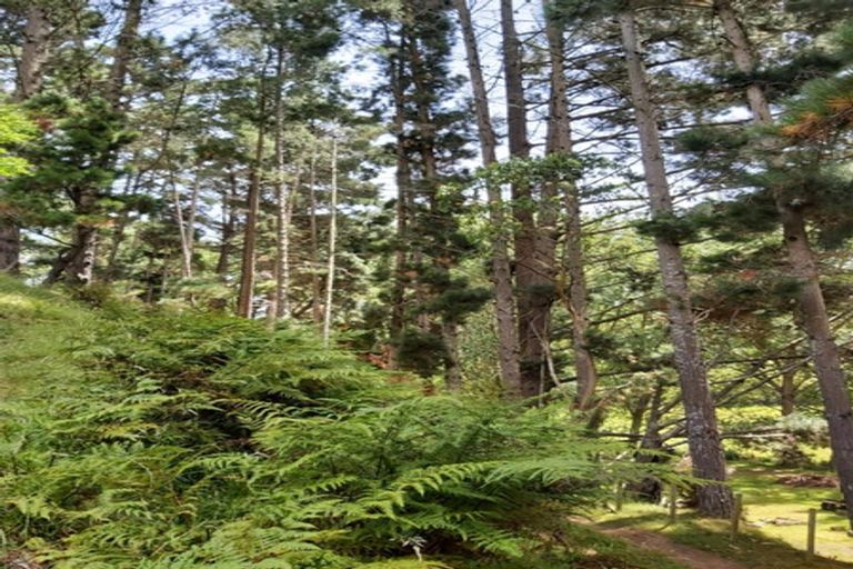 Photo of property in 71 Holmwood Road, Kaitoke, Whanganui, 4572