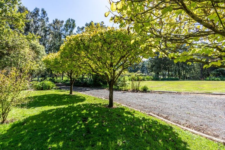 Photo of property in 49 Kaimarama Road, Kaimarama, Whitianga, 3591