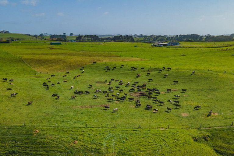 Photo of property in 1047 Awhitu Road, Pollok, 2683