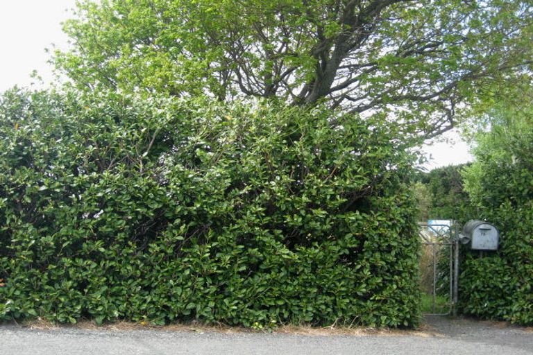 Photo of property in 70 Bay Road, Oxford, 7430