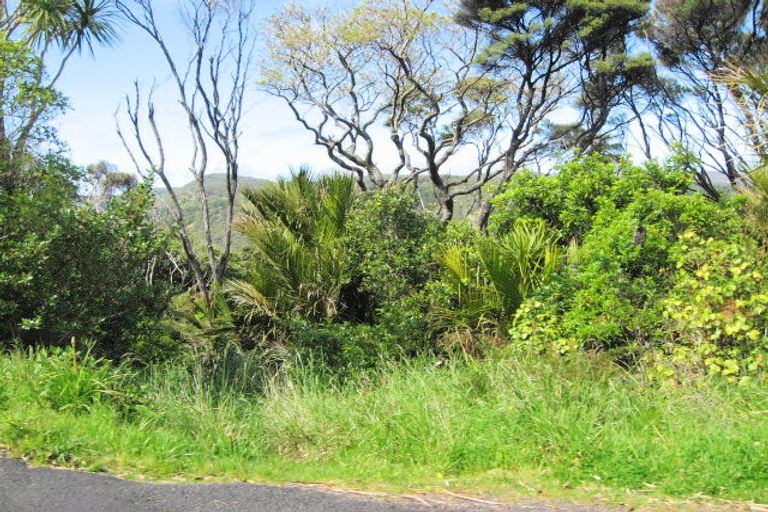 Photo of property in 57 Tasman View Road, Te Henga / Bethells Beach, Bethells Beach, 0781