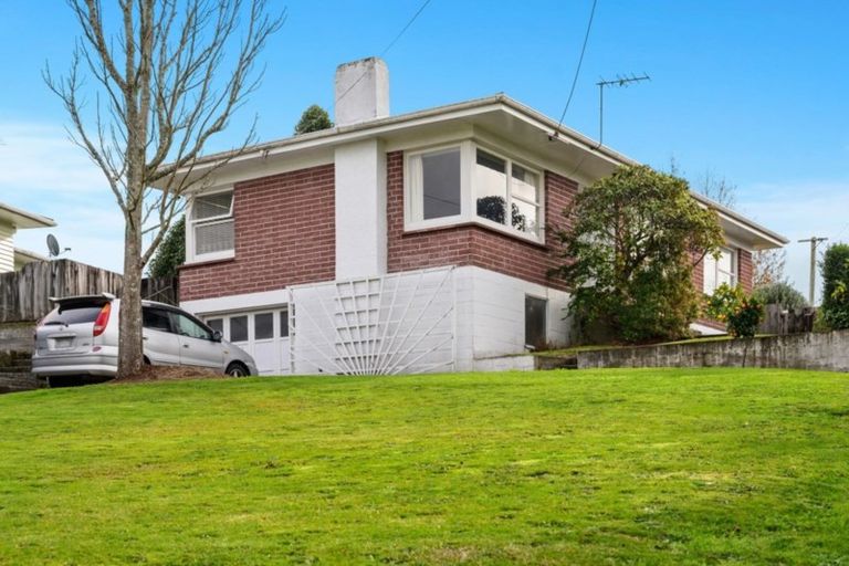Photo of property in 70 Meadowbank Crescent, Fordlands, Rotorua, 3015