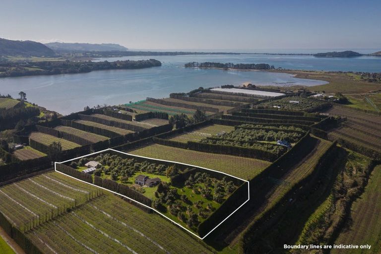 Photo of property in 210 Tuapiro Road, Tahawai, Katikati, 3170