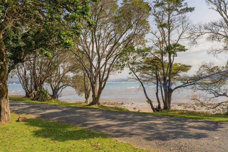 Photo of property in 183 Buffalo Beach Sh25 Road, Whitianga, 3510