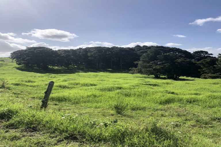 Photo of property in 504b Wairere Road, Maungaturoto, 0571