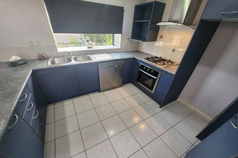 Photo of property in 51 Robin Brooke Drive, Flat Bush, Auckland, 2019