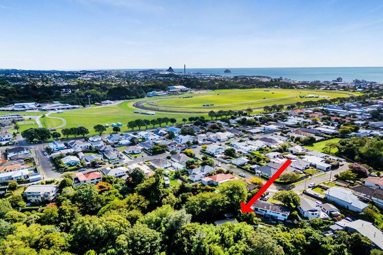 Photo of property in 10a Turi Street, Welbourn, New Plymouth, 4312