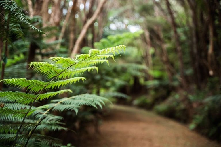 Photo of property in 183 Rangitane Road, Kerikeri, 0294