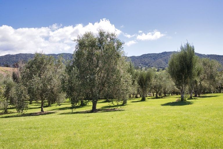 Photo of property in 362a Barrier View Road, Mangawhai, Kaiwaka, 0573