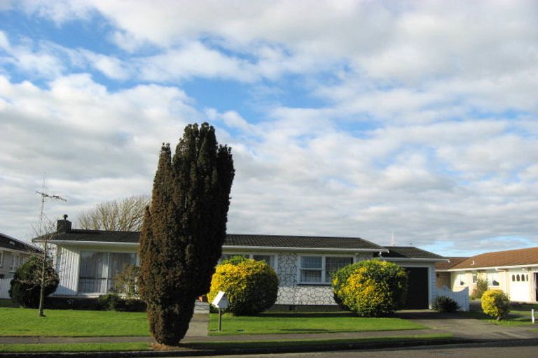 Photo of property in 29 Burn Street, Levin, 5510