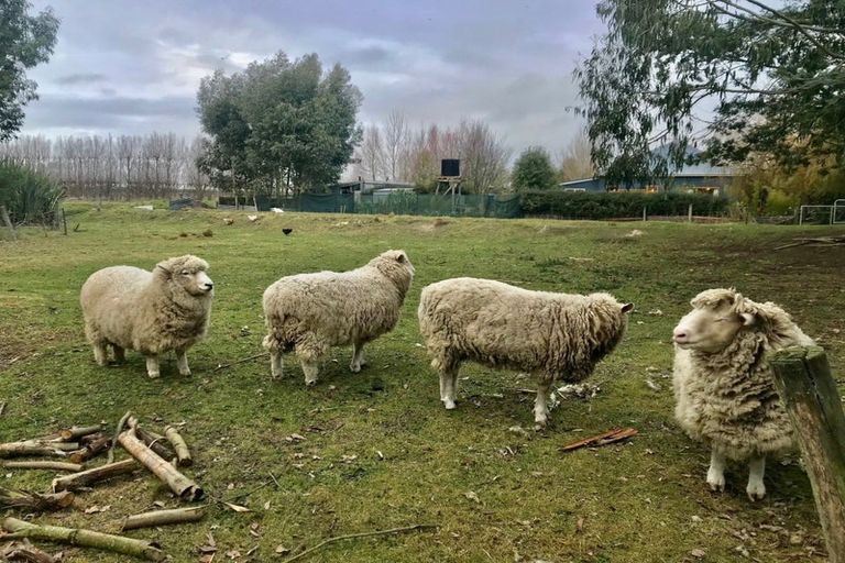 Photo of property in 53 Morven Beach Road, Morven, Waimate, 7980