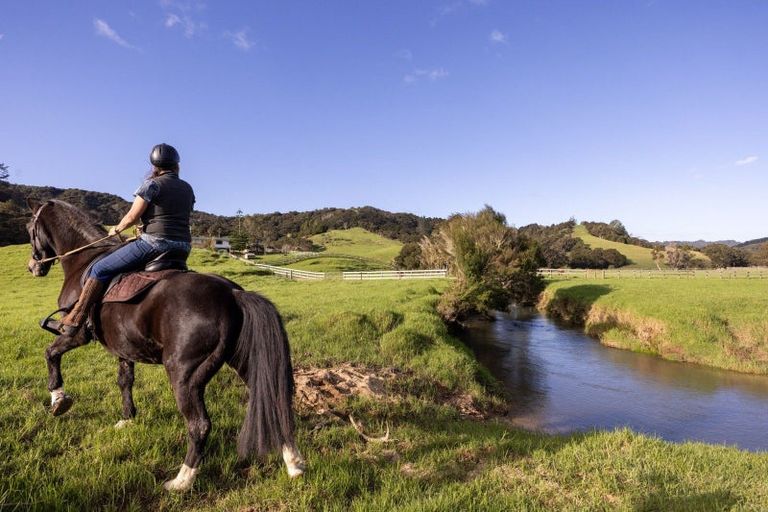 Photo of property in 719 Waikare Road, Karetu, Kawakawa, 0283