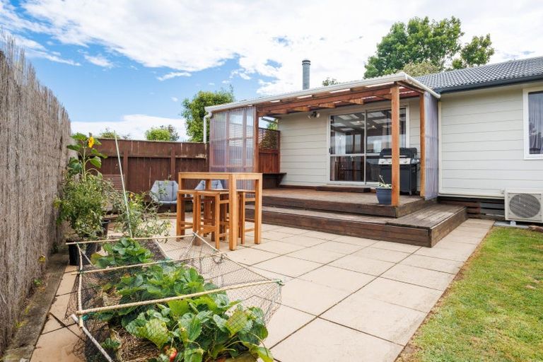 Photo of property in 20 Wills Crescent, Ashhurst, 4810