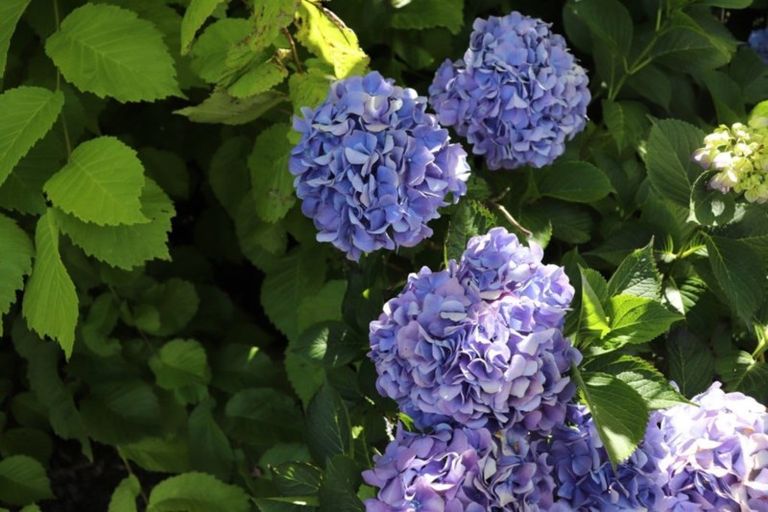 Photo of property in 1 Edendale-woodlands Highway, Woodlands, Invercargill, 9871