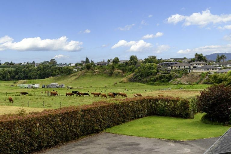 Photo of property in 29 No 1 Road, Te Puke, 3119