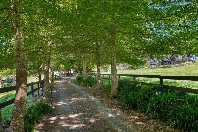 Photo of property in 243 Clevedon Kawakawa Road, Clevedon, Papakura, 2585