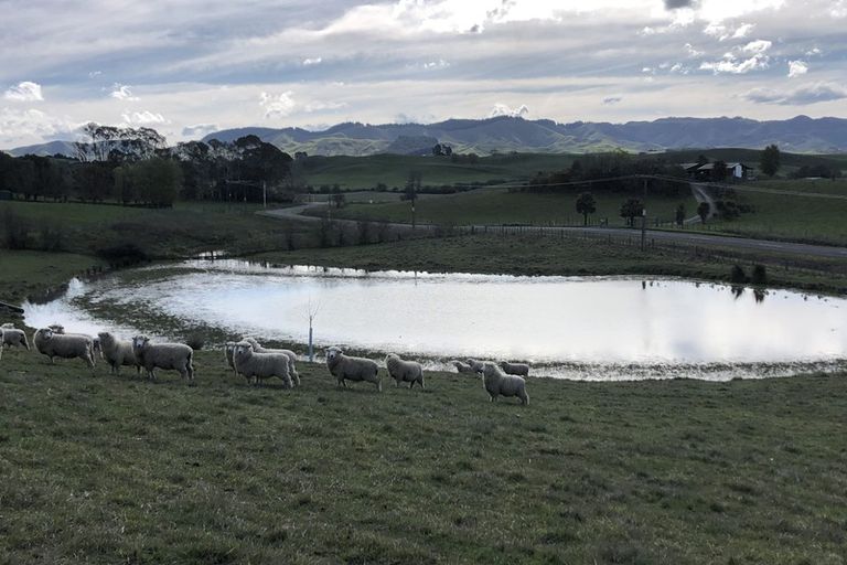 Photo of property in 38 Homewood Road, Waipawa, Otane, 4277